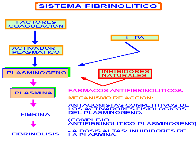 significado de hemostasia significado de hemostasia